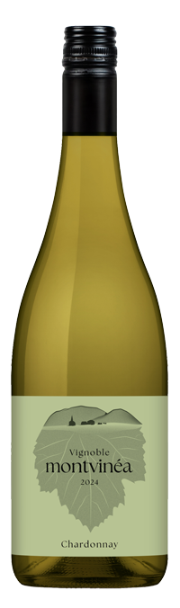 Bouteille de Chardonnay 2024 Montvinea à l’étiquette vert pâle, parfaite pour illustrer un vin blanc élégant.