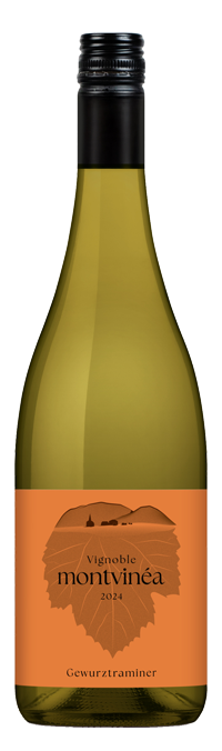 Bouteille de Gewurztraminer 2024 Montvinea aux notes exotiques, idéale pour un vin blanc expressif.