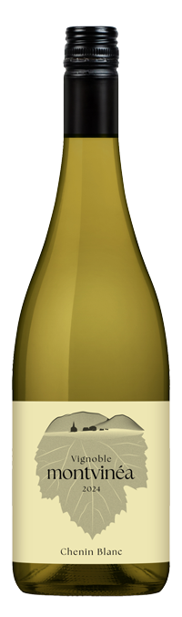 Bouteille de Chenin Blanc 2024 Montvinea à l’étiquette crème, parfaite pour un vin blanc vif et raffiné.